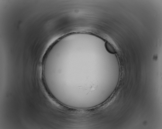 X0000102481079200808081027