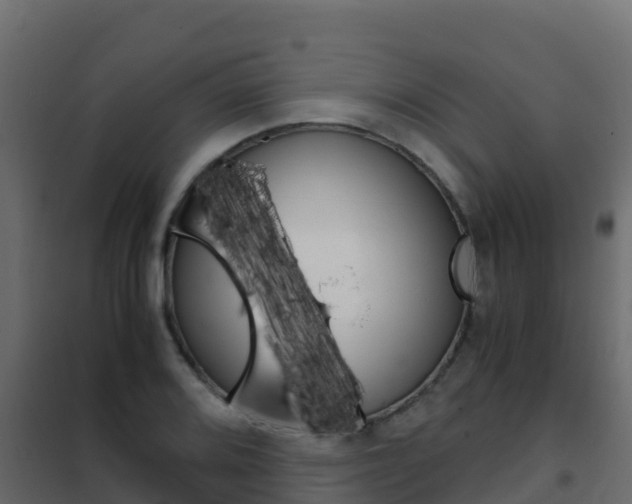 X0000102481080200808081027