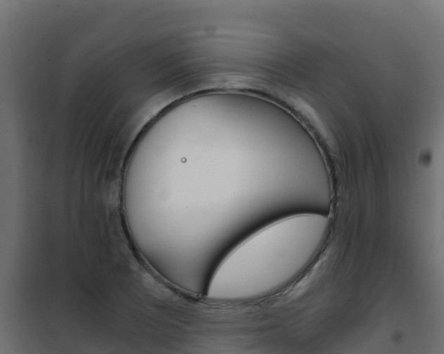 X0000102481081200808081027