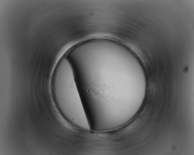 X0000102481082200808081027