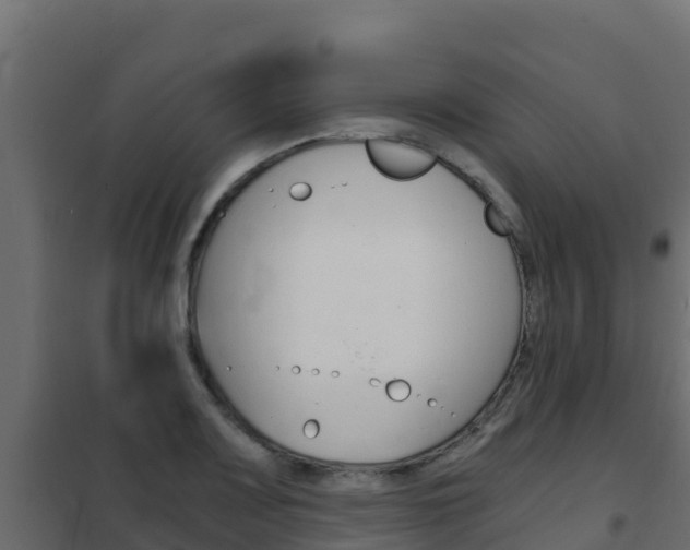 X0000102481083200808081027