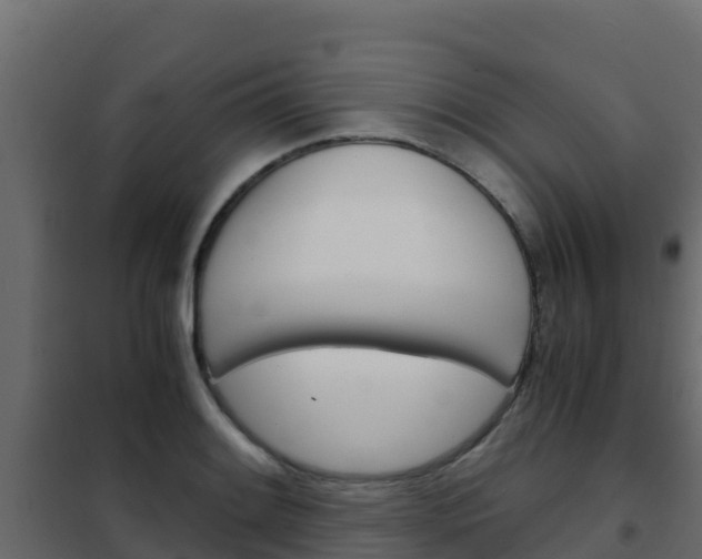 X0000102481084200808081027