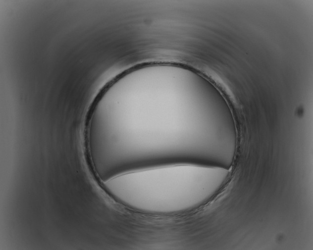 X0000102481085200808081027