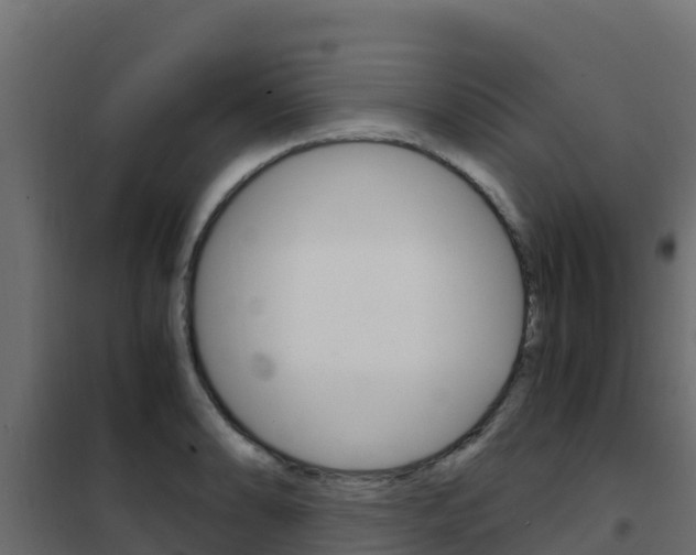 X0000102481086200808081027