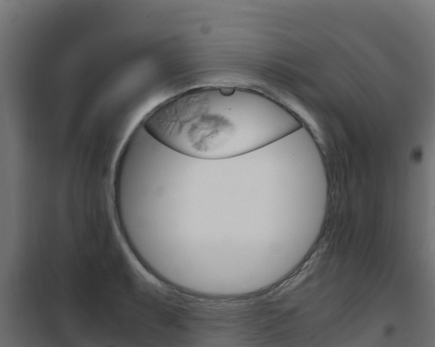 X0000102481087200808081027