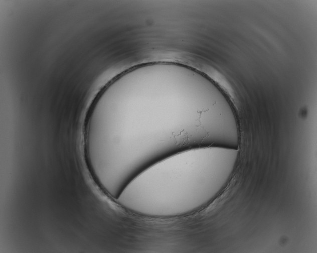 X0000102481088200808081027