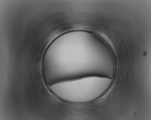 X0000102481089200808081027