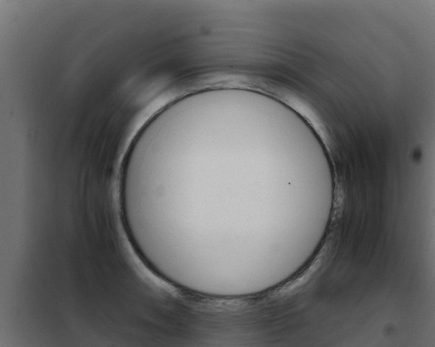 X0000102481090200808081027