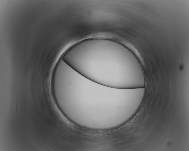 X0000102481091200808081027
