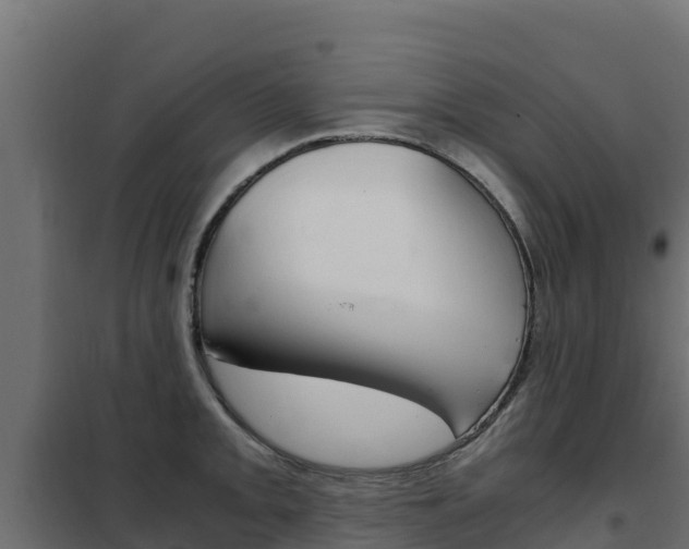 X0000102481093200808081027
