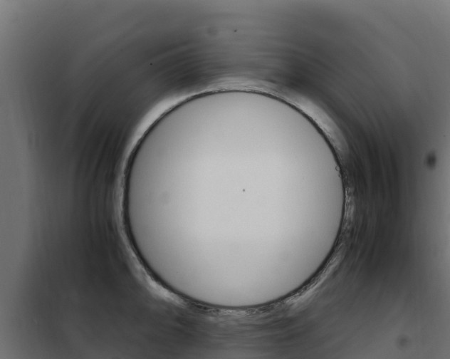 X0000102481094200808081027