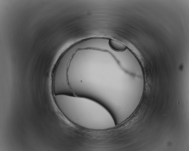 X0000102481096200808081027