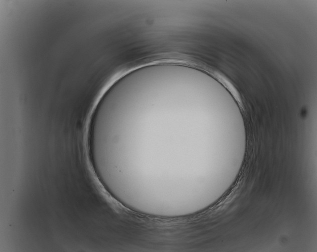 X0000102481099200808081027