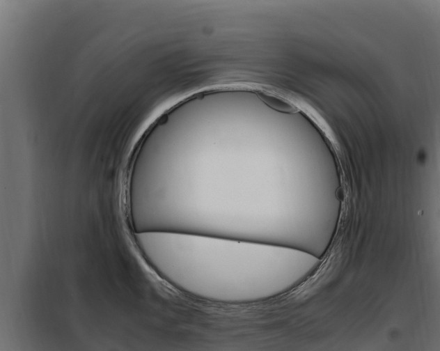 X0000102481101200808081027
