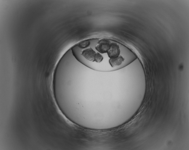 X0000102481103200808081027