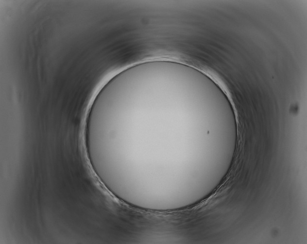X0000102481104200808081027