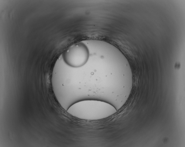 X0000102481106200808081026