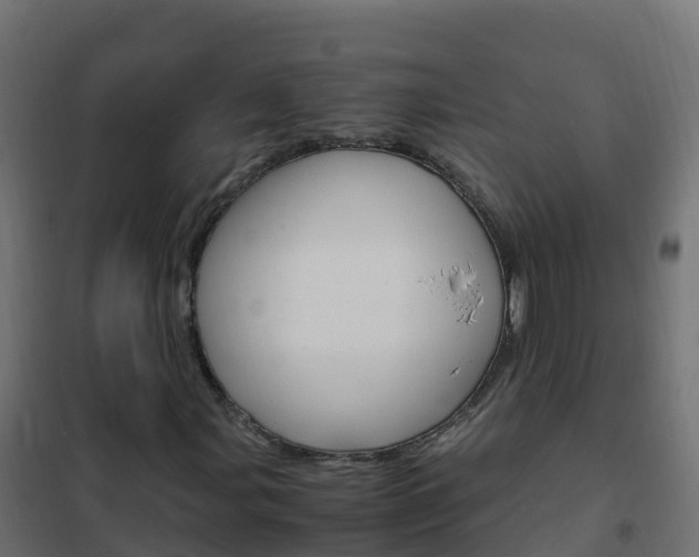 X0000102481107200808081026