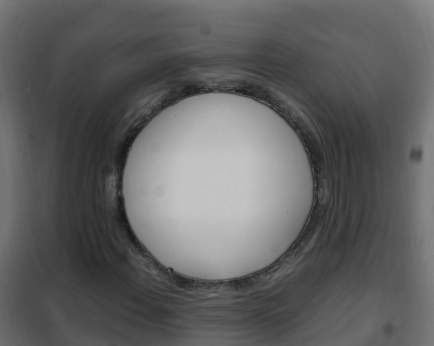 X0000102481108200808081026
