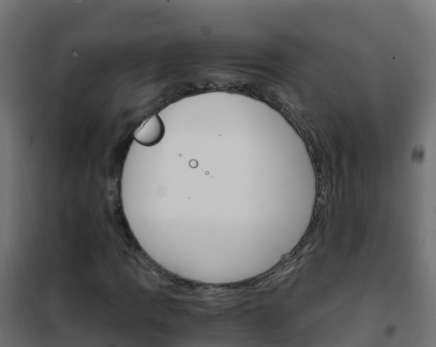 X0000102481109200808081026