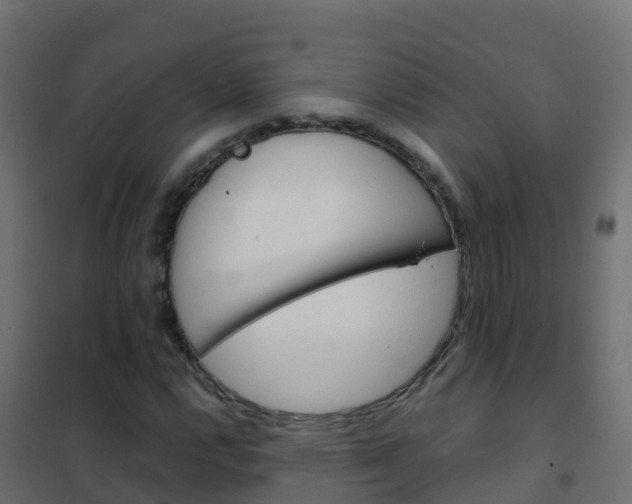 X0000102481112200808081026