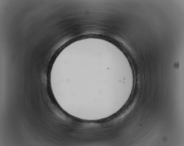 X0000102481113200808081026