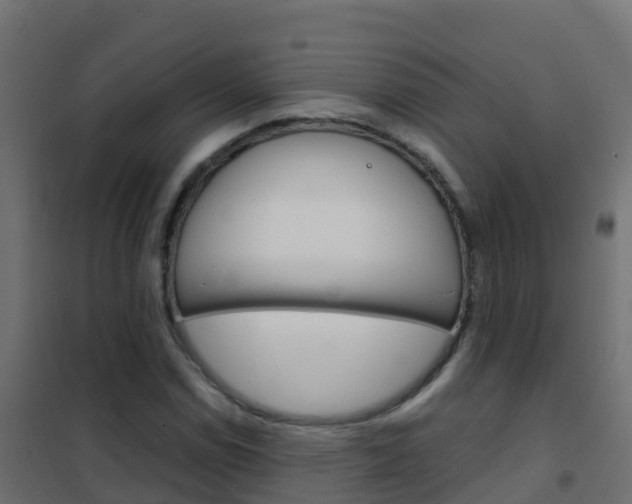 X0000102481114200808081026