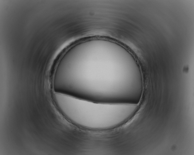 X0000102481118200808081026