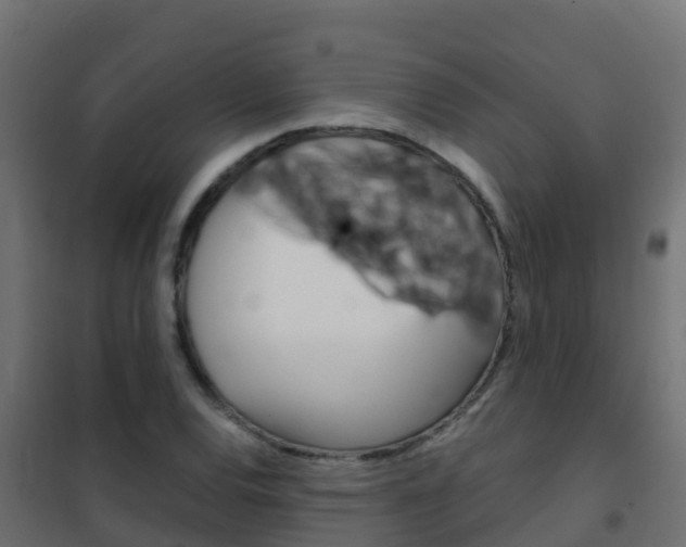 X0000102481120200808081026