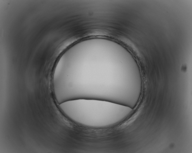 X0000102481121200808081026