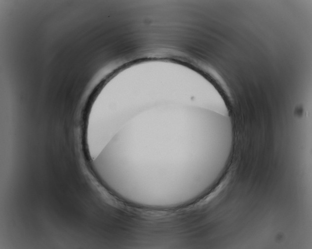 X0000102481122200808081026