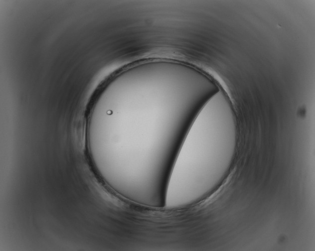 X0000102481123200808081026