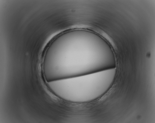 X0000102481124200808081026