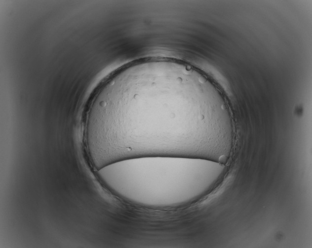 X0000102481125200808081026