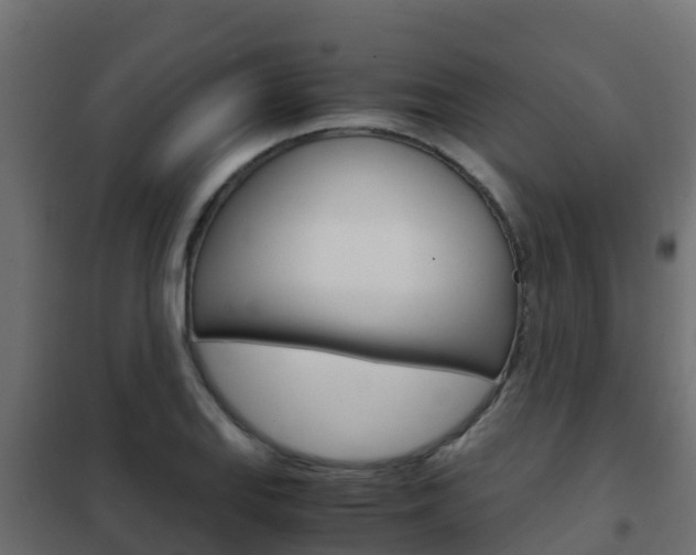 X0000102481127200808081026