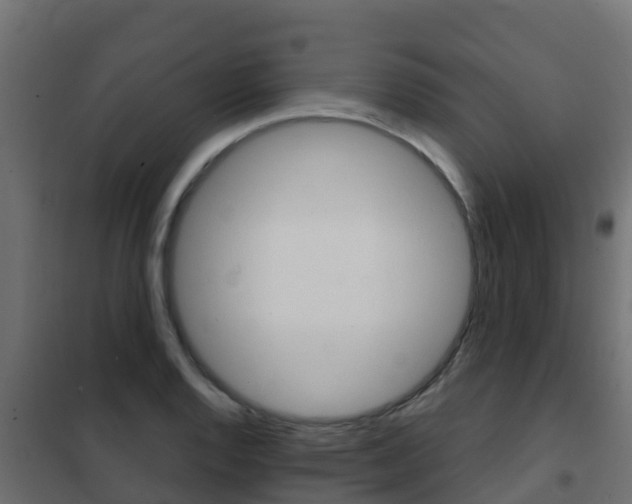X0000102481128200808081026
