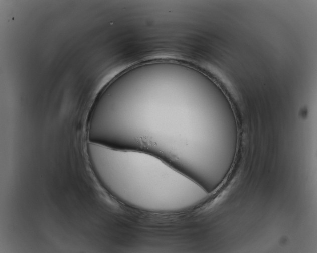 X0000102481129200808081026