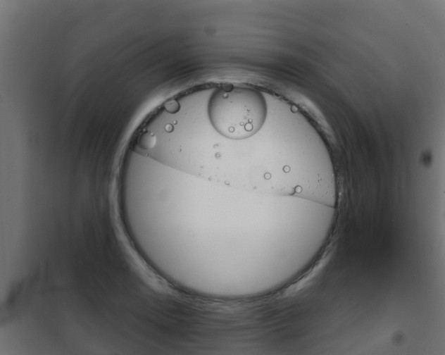 X0000102481130200808081026