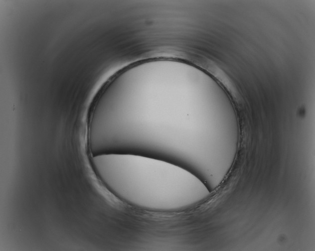 X0000102481132200808081026