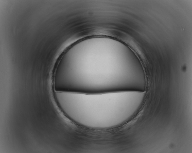 X0000102481133200808081026