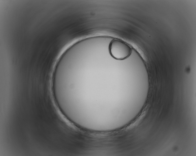 X0000102481134200808081026