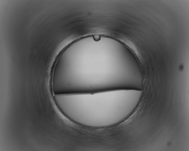 X0000102481135200808081026