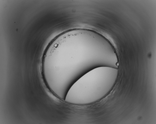 X0000102481136200808081026