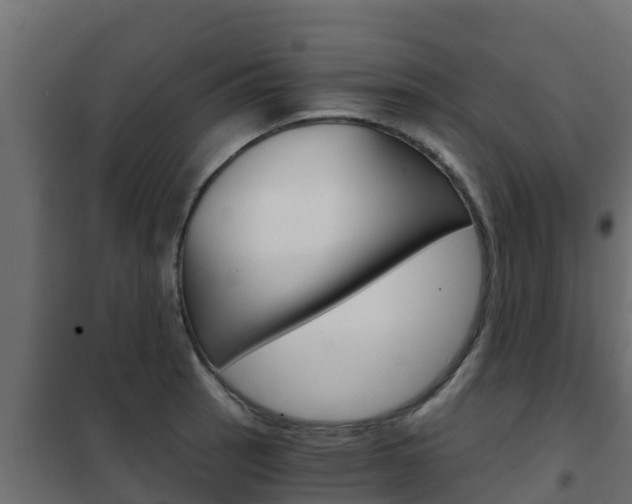 X0000102481137200808081026