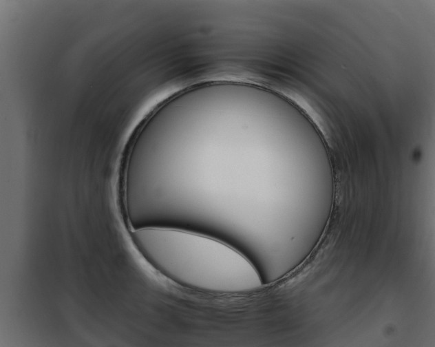 X0000102481139200808081026