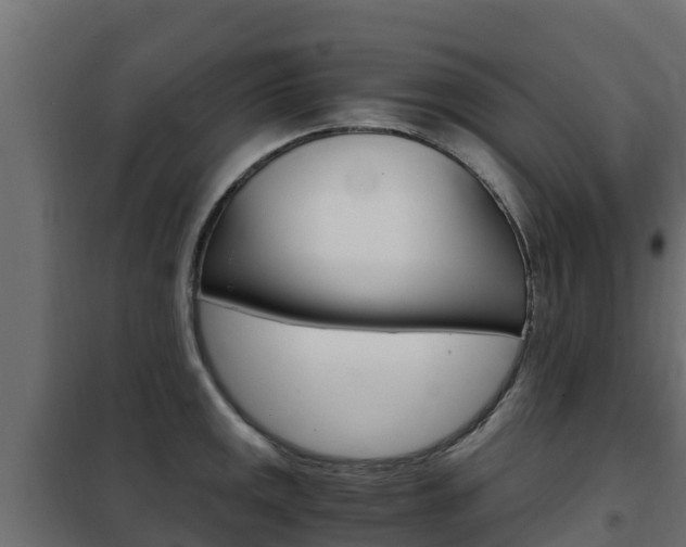 X0000102481141200808081026