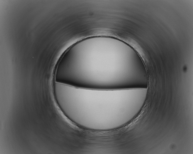 X0000102481142200808081026