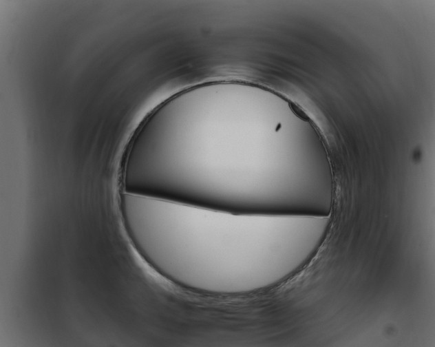 X0000102481143200808081026