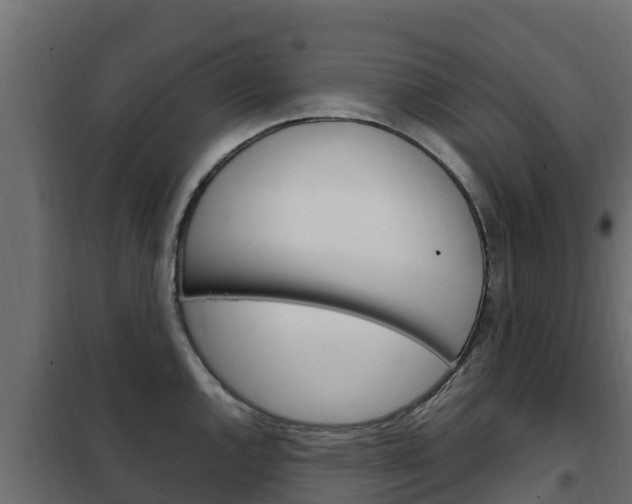 X0000102481144200808081026