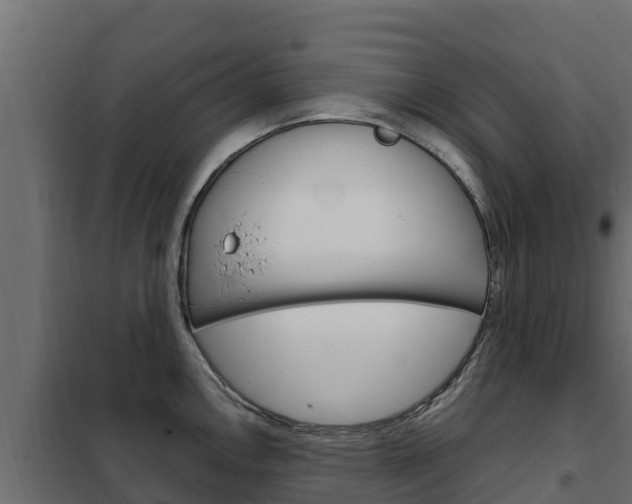 X0000102481146200808081027